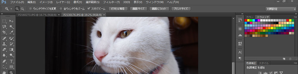 Photoshop