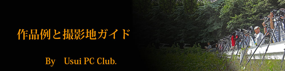 UsuiPCのPR