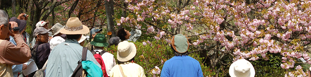 桜の里観桜会